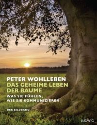 Peter Wohlleben: Das geheime Leben der Bäume - Der Bildband