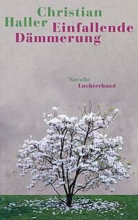 Christian Haller: Einfallende Dämmerung